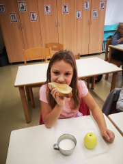 IMG 20241115 091845