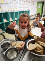 IMG 20241115 092635