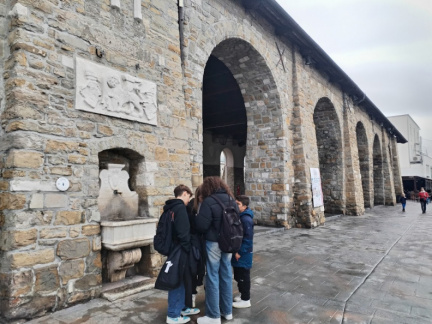 IMG 20260206 142428