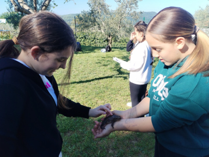 IMG 20260423 092821